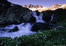  American Basin at first light with Marsh Marigolds providing a foreground for a small but lovely waterfall.  San Juan Mountains, Colorado   