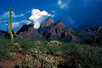 A quick summer thunderstorm passes the Baboquivari mountains, southern Arizona