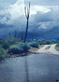 A storm looms ahead along the old road through Catavia  Mesa.