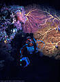 A Scuba Diver with Gorgonians at the mouth of an underwater cave.