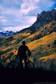 Fall Colors in the San Juan Mountains - Gallery 2